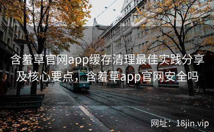 含羞草官网app缓存清理最佳实践分享及核心要点，含羞草app官网安全吗