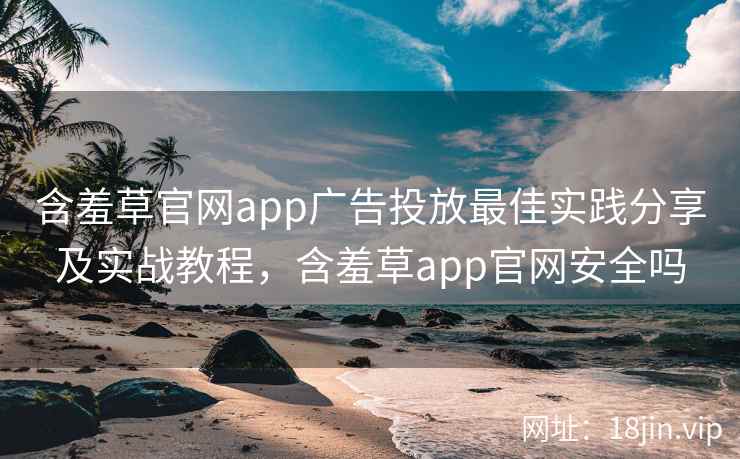 含羞草官网app广告投放最佳实践分享及实战教程，含羞草app官网安全吗