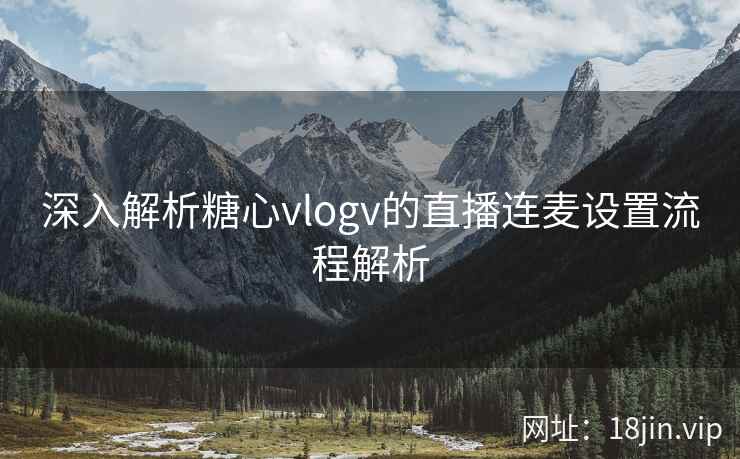 深入解析糖心vlogv的直播连麦设置流程解析  第2张