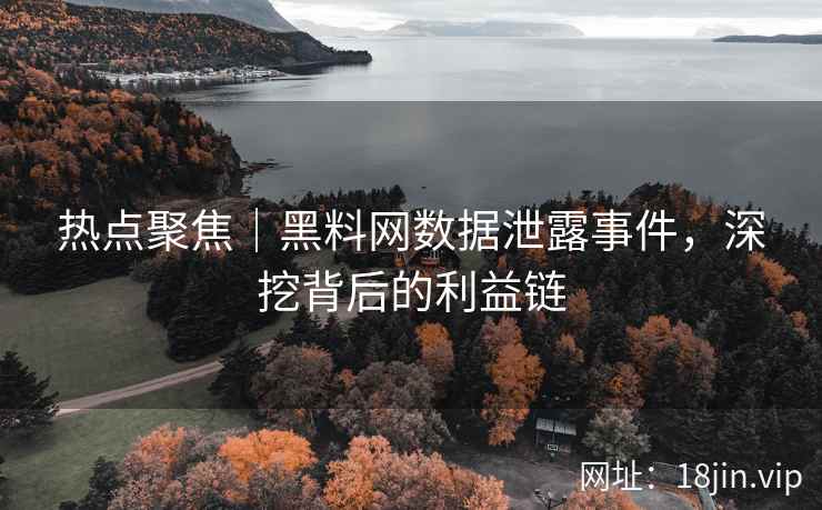 热点聚焦｜黑料网数据泄露事件，深挖背后的利益链