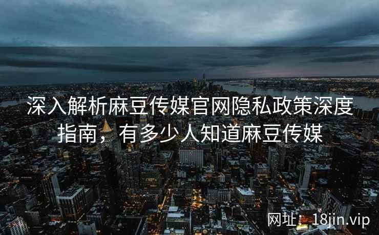 深入解析麻豆传媒官网隐私政策深度指南，有多少人知道麻豆传媒