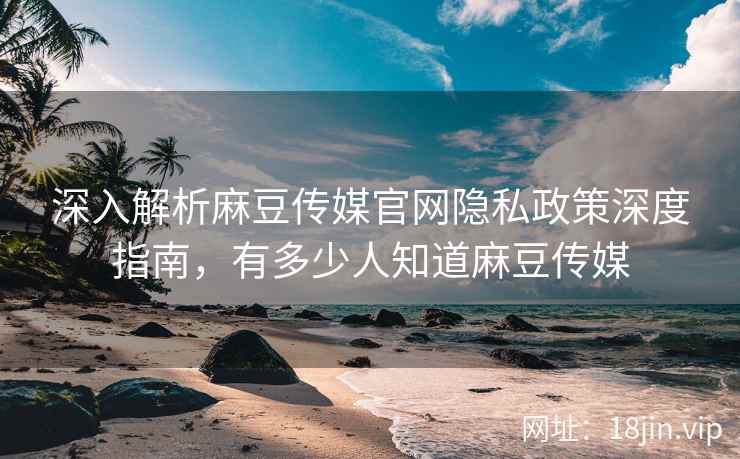 深入解析麻豆传媒官网隐私政策深度指南，有多少人知道麻豆传媒  第2张