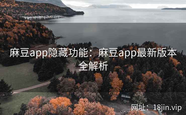 麻豆app隐藏功能：麻豆app最新版本全解析  第2张